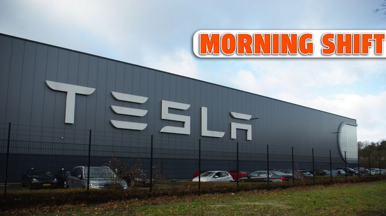 Нидерландские регуляторы держат данные FSD в секрете по запросу Tesla